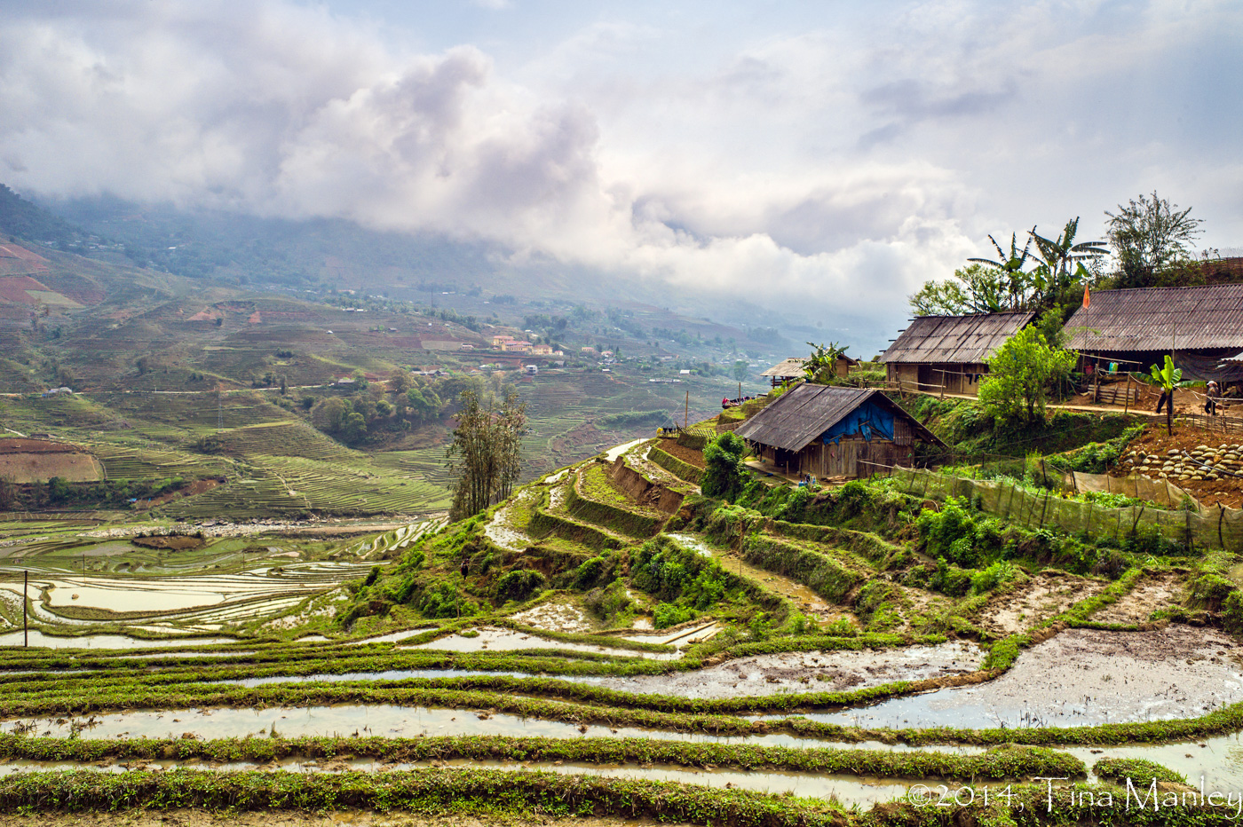 Rice Paddies in Sapa
