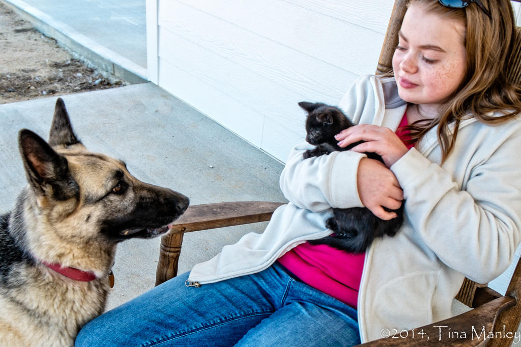 Jasmine, Kitty, and Sophie