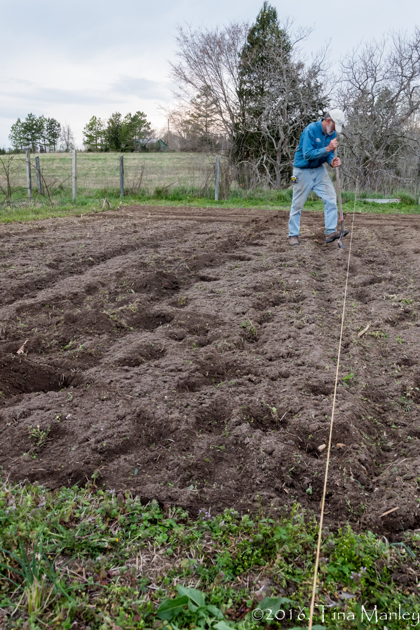 Ready for Tomatoes