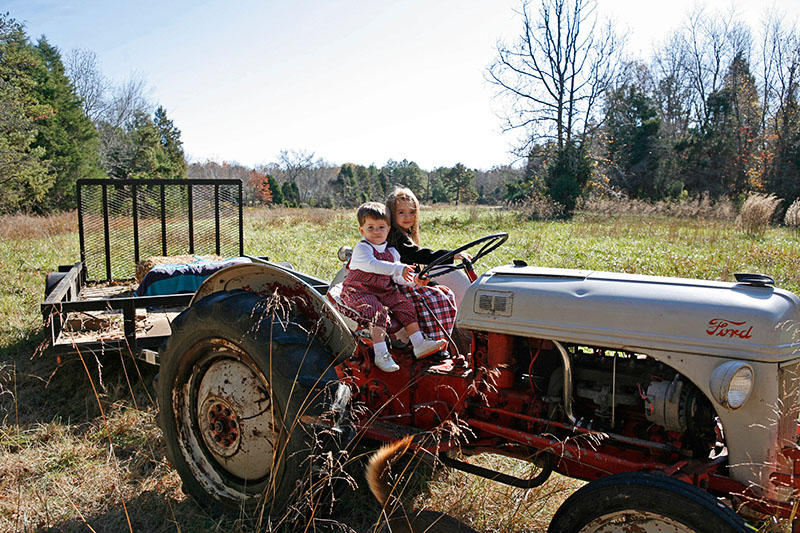 Grandaddys Tractor, II