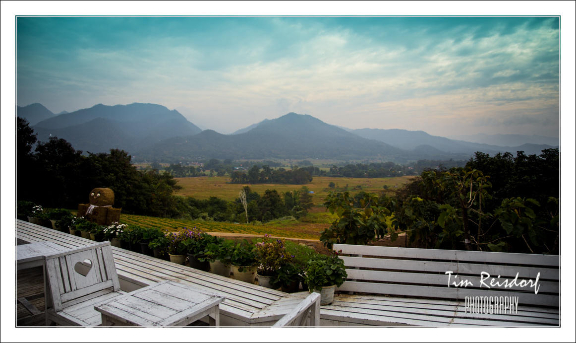 Coffee in Love viewpoint 