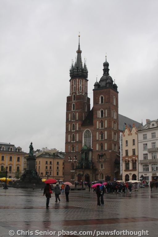 CS_0022.JPG