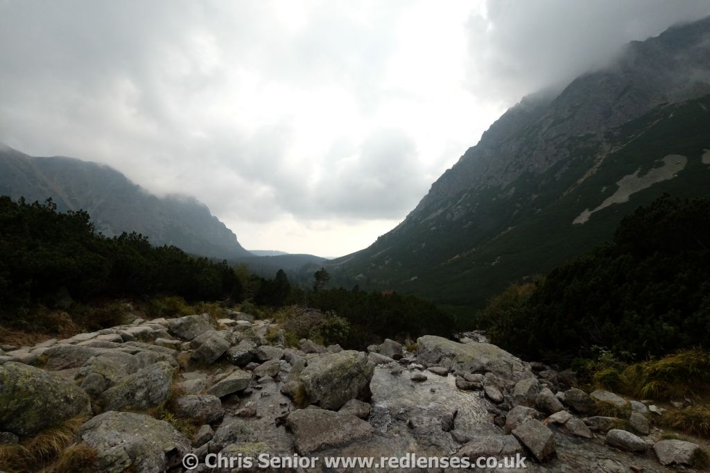 CS_0108.JPG