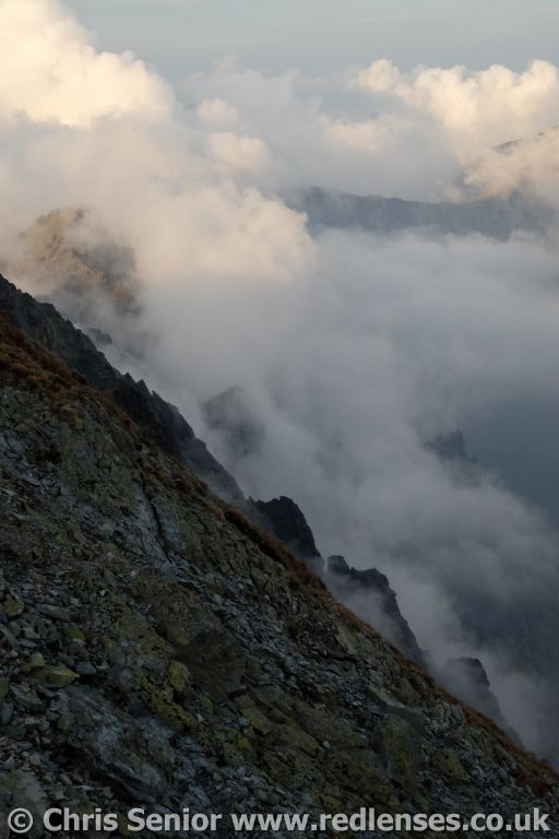 CS_0184.JPG