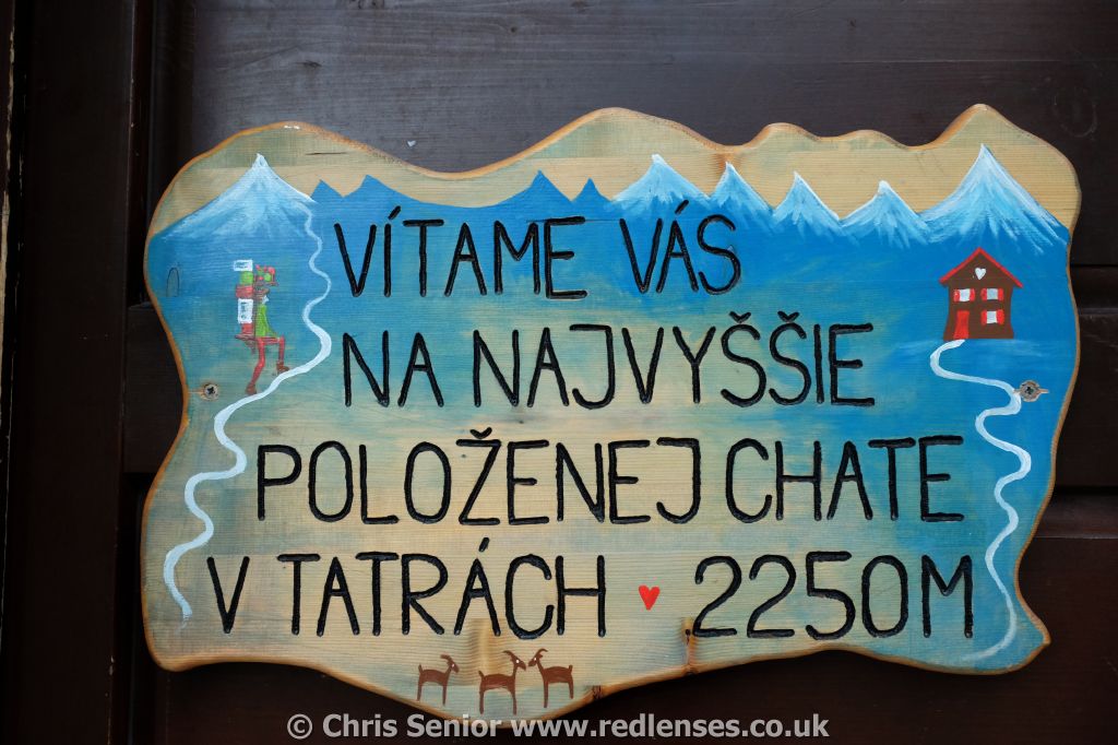 CS_0231.JPG