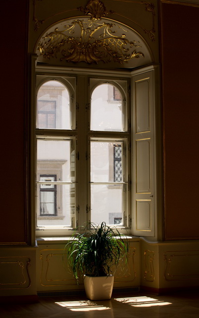 DSC04820.JPG