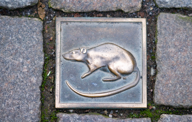 DSC05935.JPG