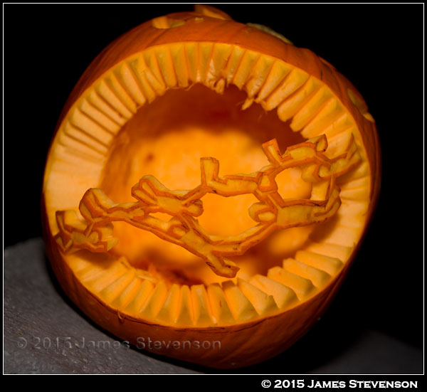hibbleween_2015_005.jpg