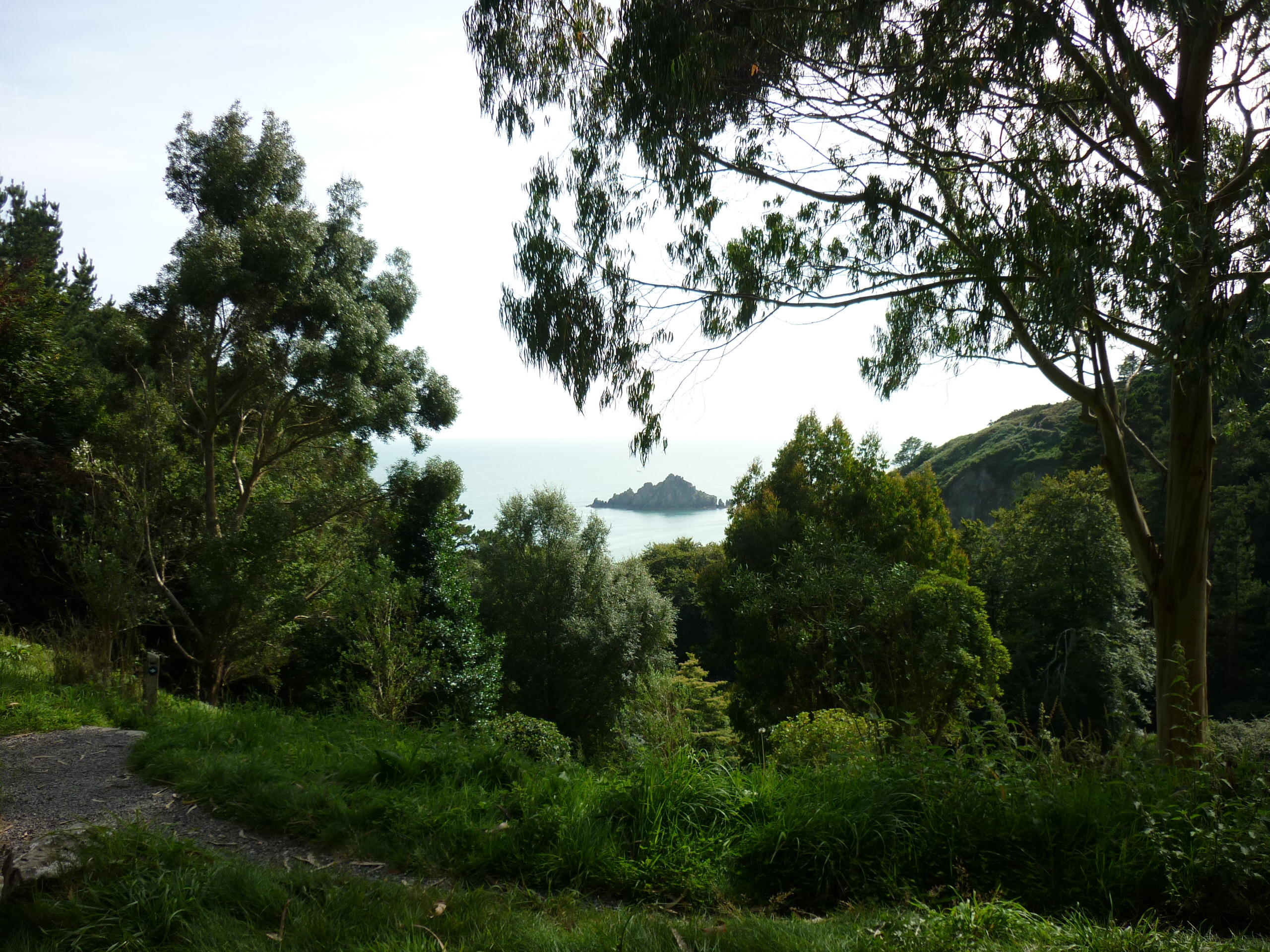 view from climb back