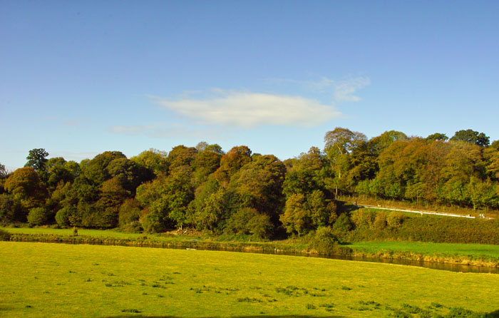 autmn colour 8.jpg
