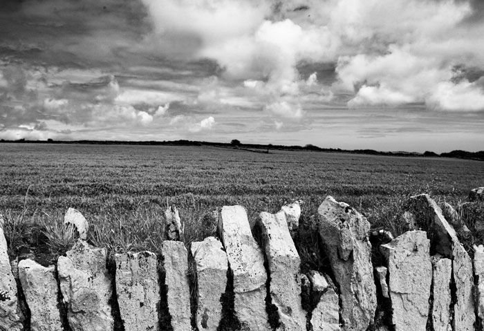 cornfield and clouds 2.jpg