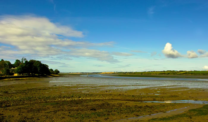 bannow bay 3.jpg