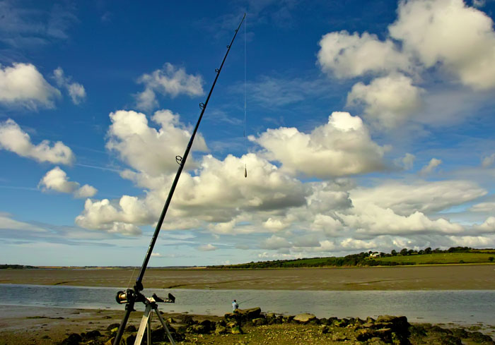fishing rod.jpg