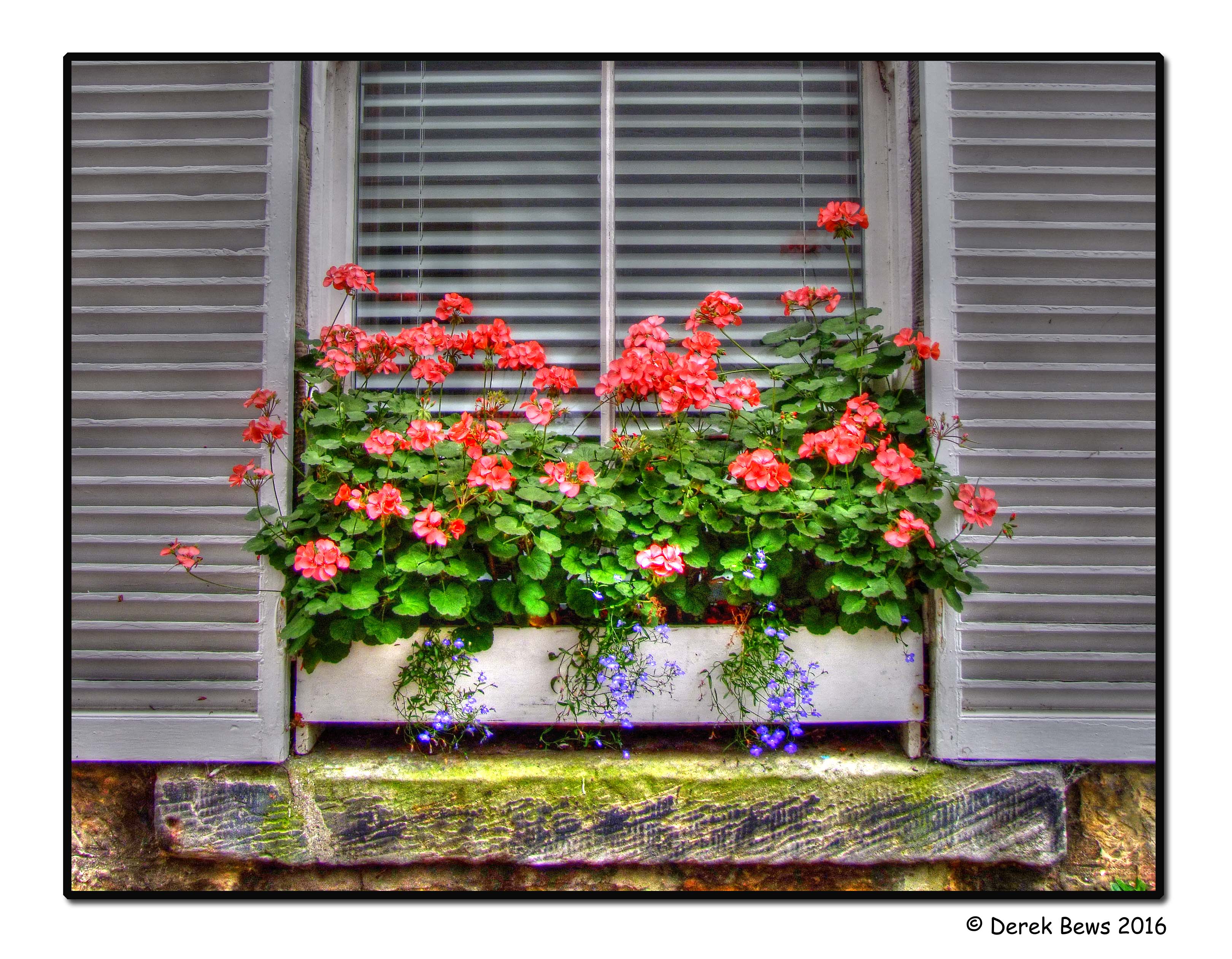 Shutters and Blinds