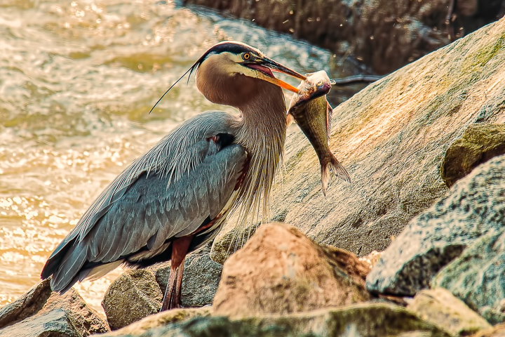 20110601-DSC_0360-Edit-Edit.jpg