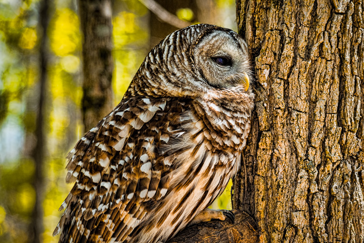 20140427-_DSC1707-Edit.jpg