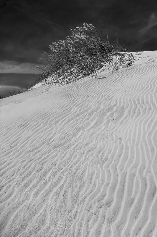 Dunes at Huguenot Memorial Park #1