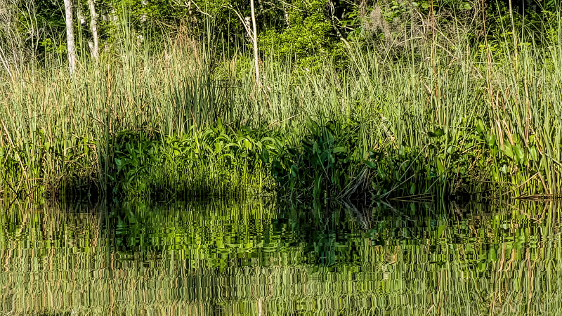 Lofton Creek April 2014 #13