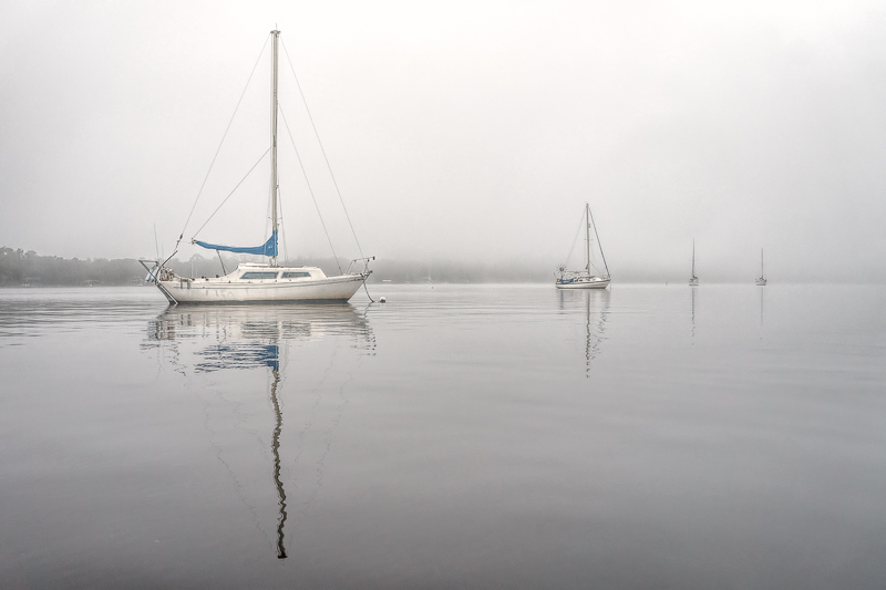 Fog on the Ortega River #11