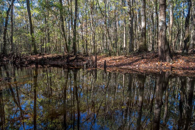 Gourd Island Preserve #1