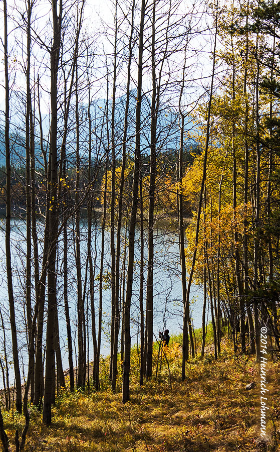 IMP3092-Kananaskis.jpg
