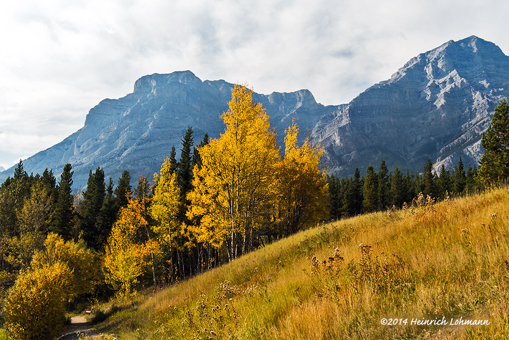 IMP3099-Kananaskis.jpg