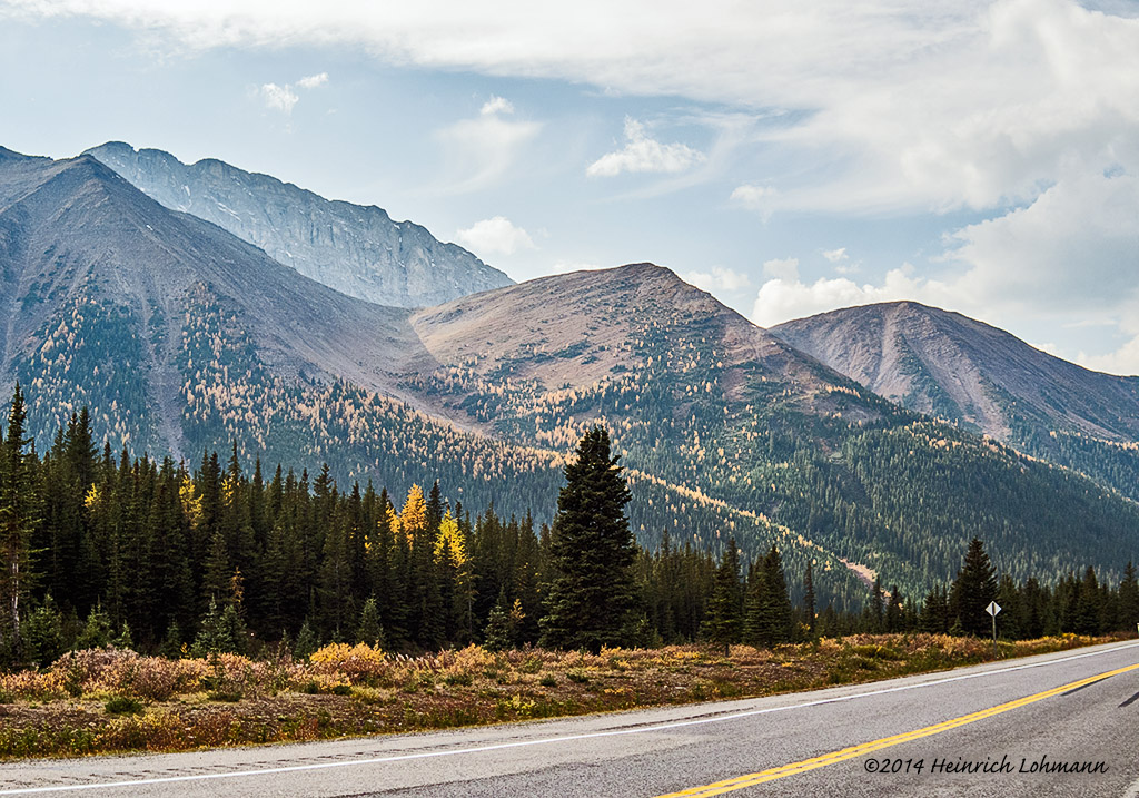 IMP3138-Kananaskis.jpg