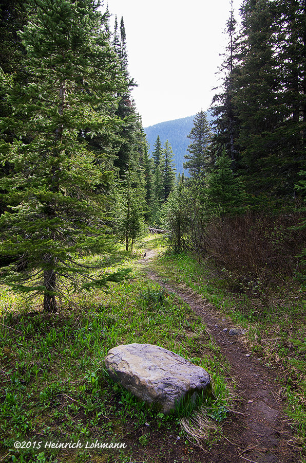 K5H9879-Waterton Lakes National Park.jpg