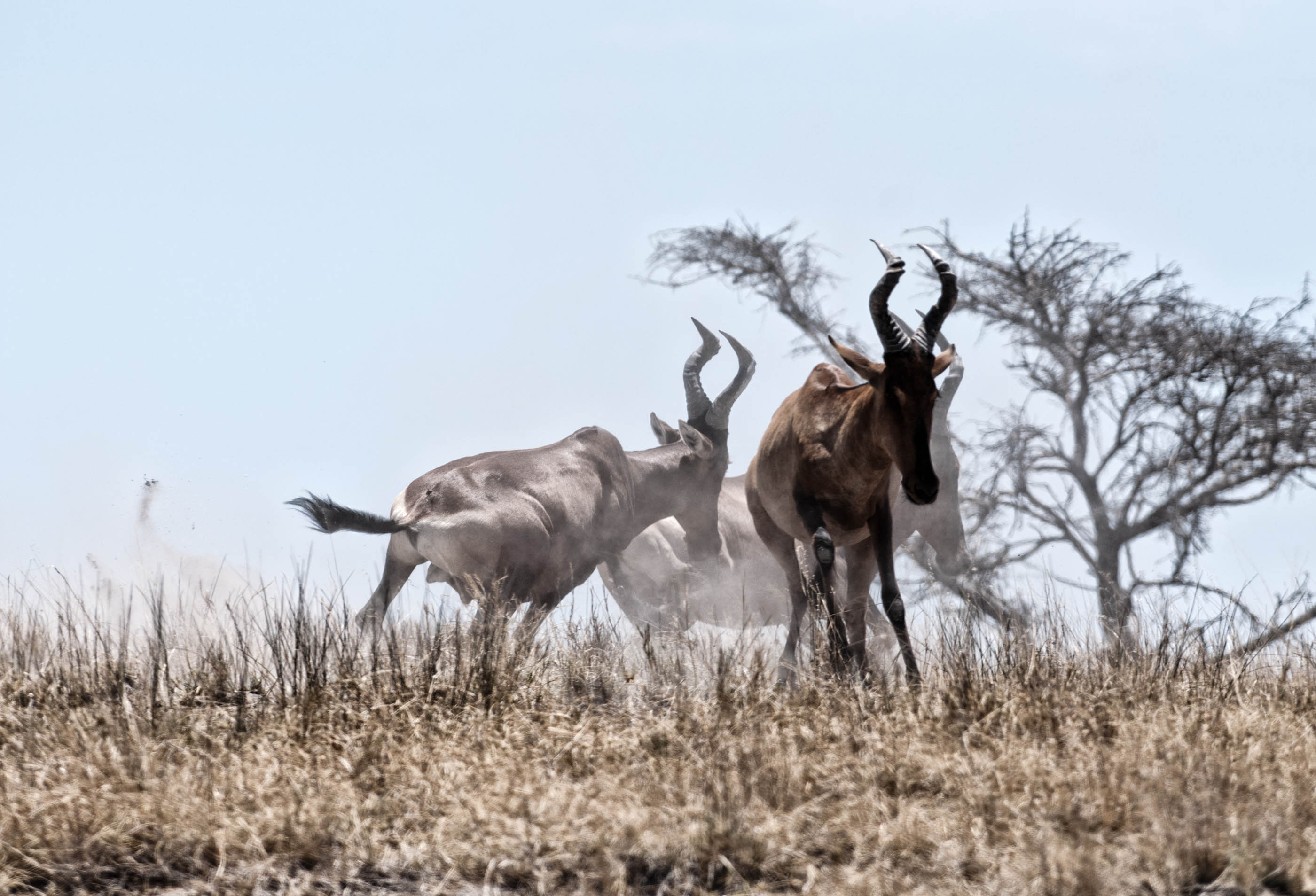web_namibia-21.JPG