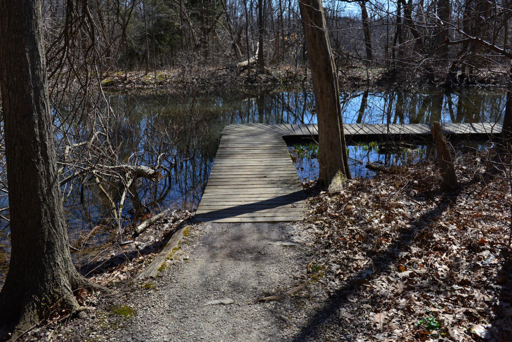 The Marsh Pond Wooden Boardwalk