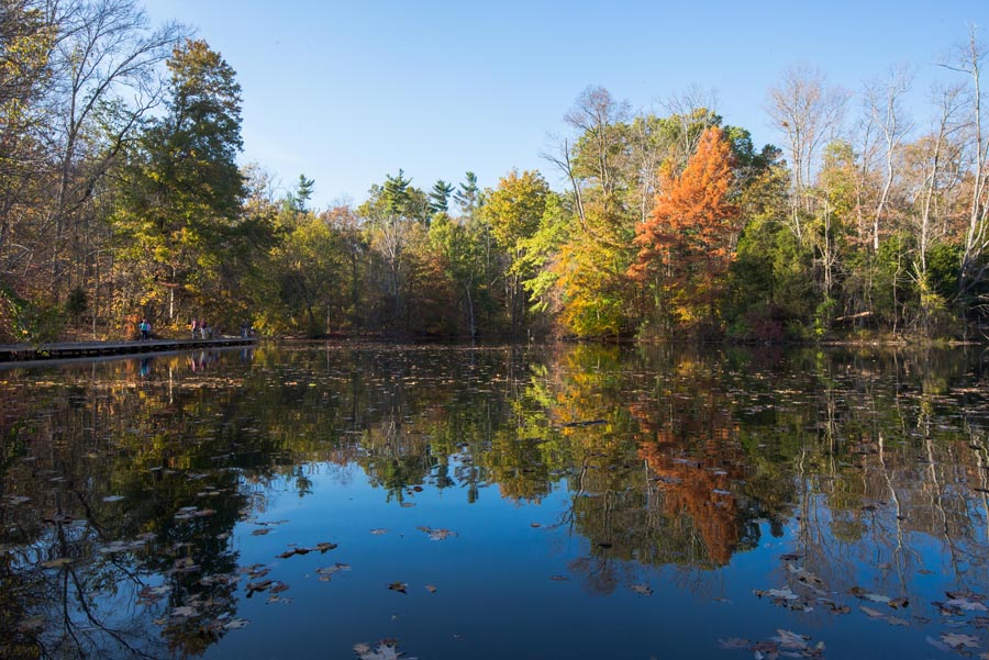 Powel Crosley Lake Autumn 2014