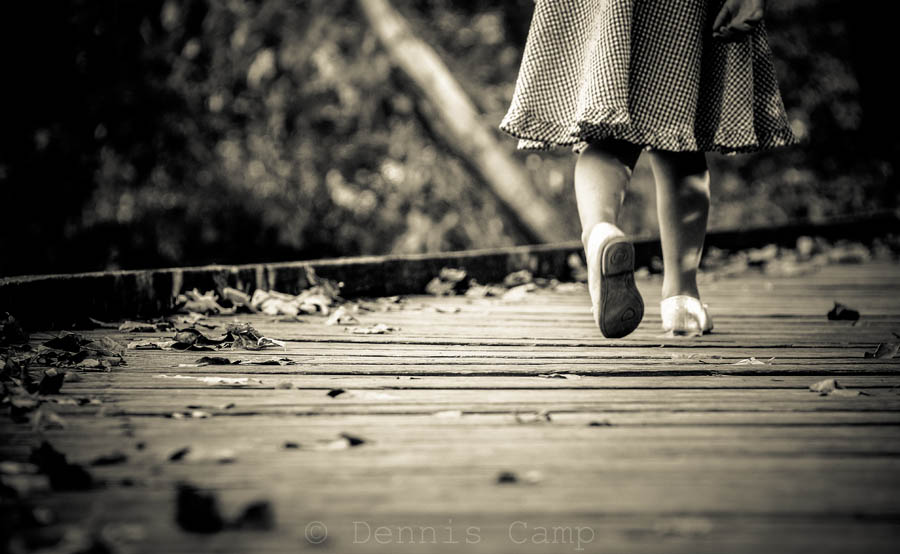 Autumn on the Boardwalk