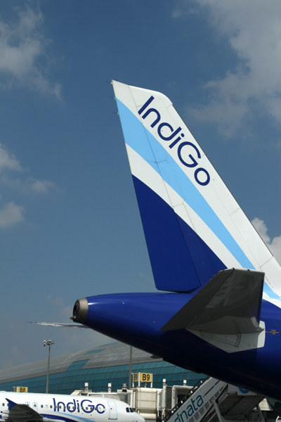 INDIGO AIRCRAFT DXB RF IMG_8657.jpg