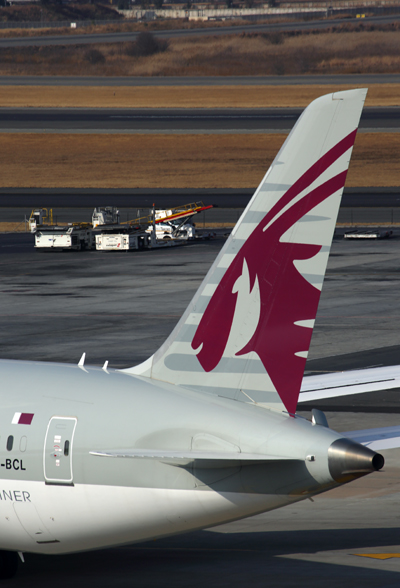 QATAR BOEING 787 8 JNB RF 5K5A1848.jpg