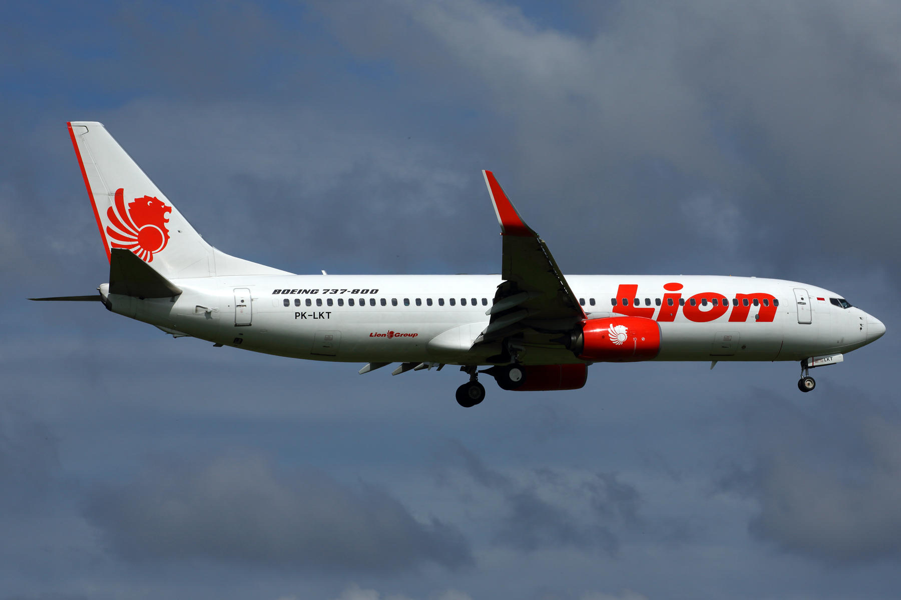 LION BOEING 737 800 PEN RF 5K5A9428.jpg