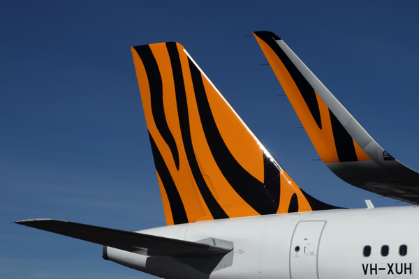 TIGERAIR AIRBUS A320 HBA RF IMG_0524.jpg