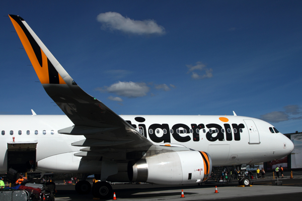 TIGERAIR AIRBUS A320 HBA RF IMG_0527.jpg