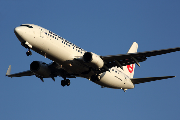 JAPAN AIRLINES BOEING 737 800 NRT RF 5K5A5412.jpg