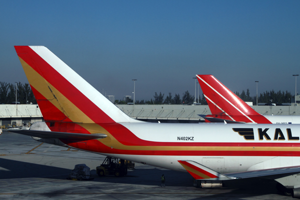 KALITTA AIR MARTINAIR AIRCRAFT MIA RF IMG_2490.jpg