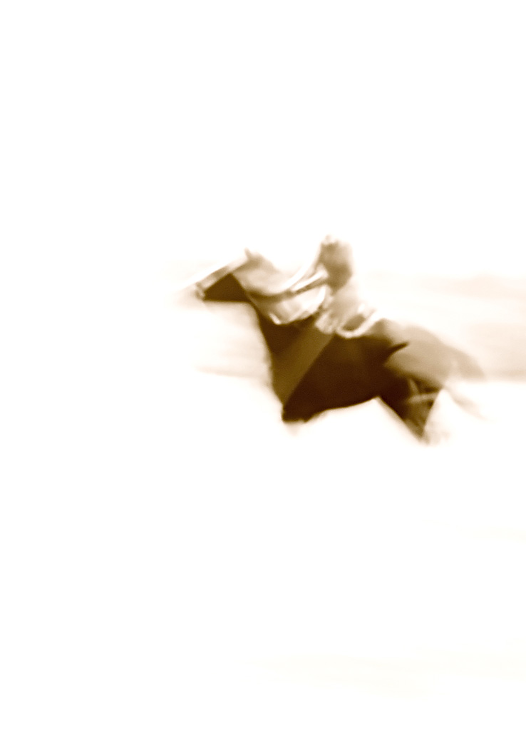 Abstract