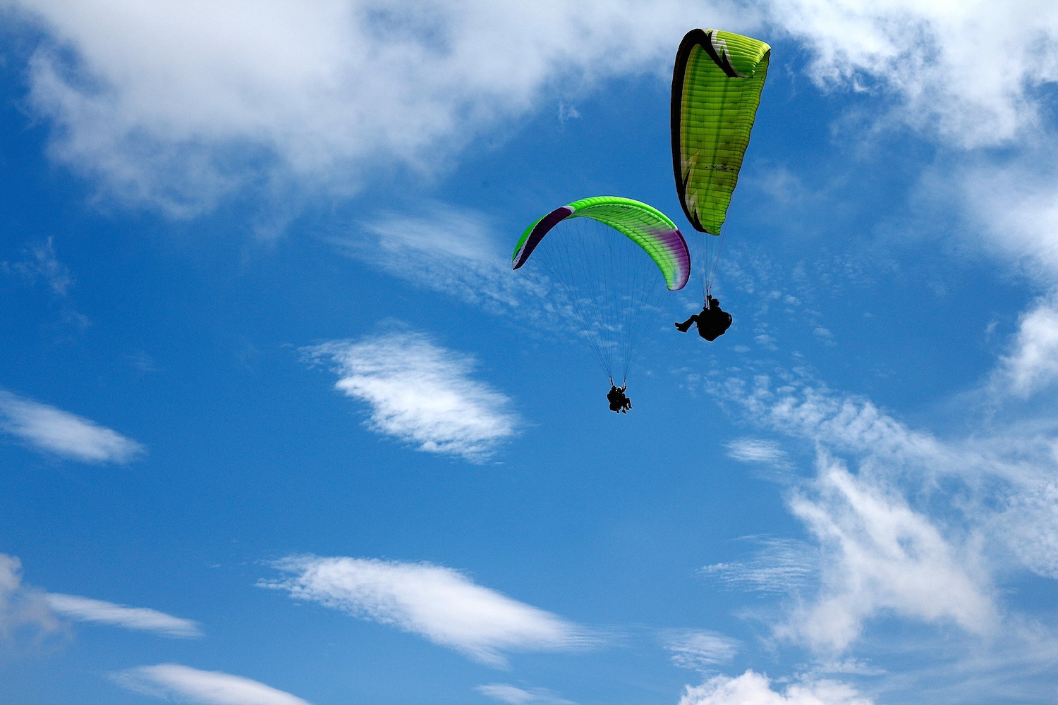 Sky High