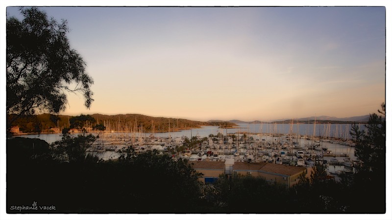 Porquerolles harbor