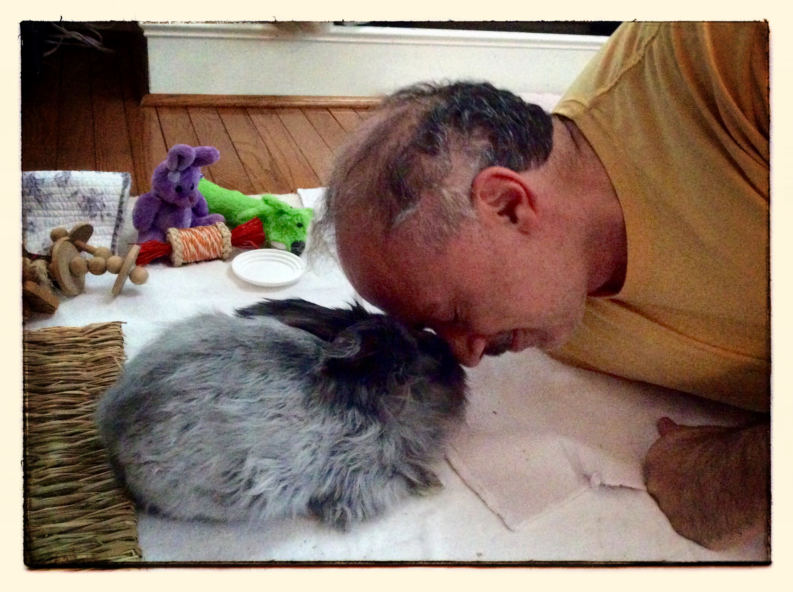 Bunny Love
