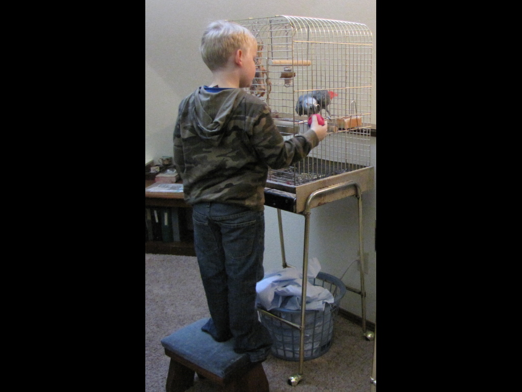 IMG_3622b.jpg