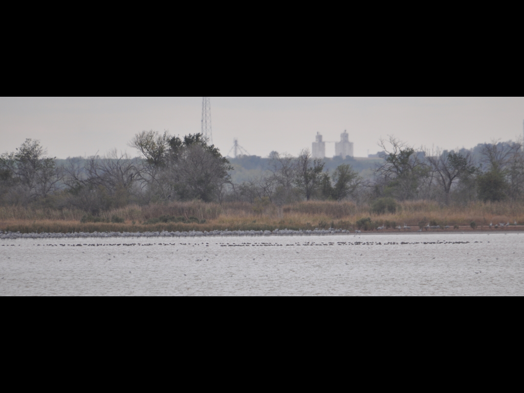 DSC_0930b.JPG