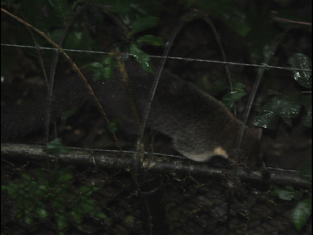 DSC_0827b.JPG