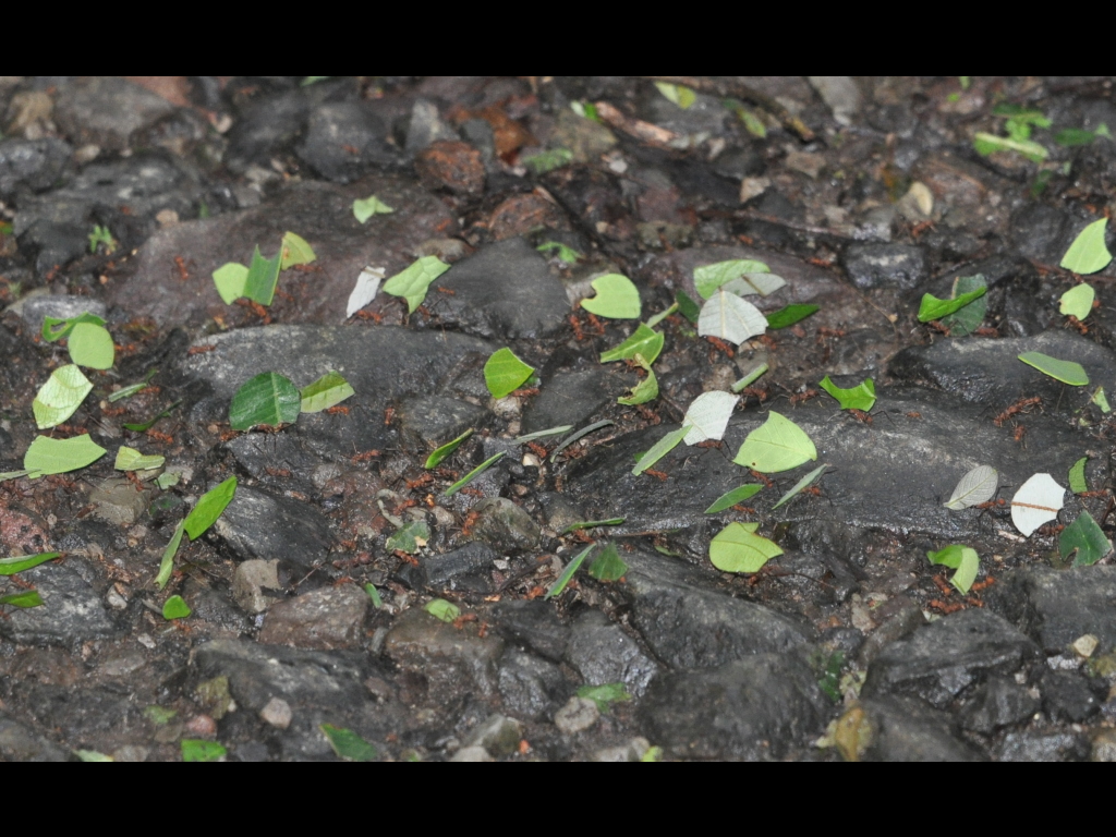DSC_0039b.JPG