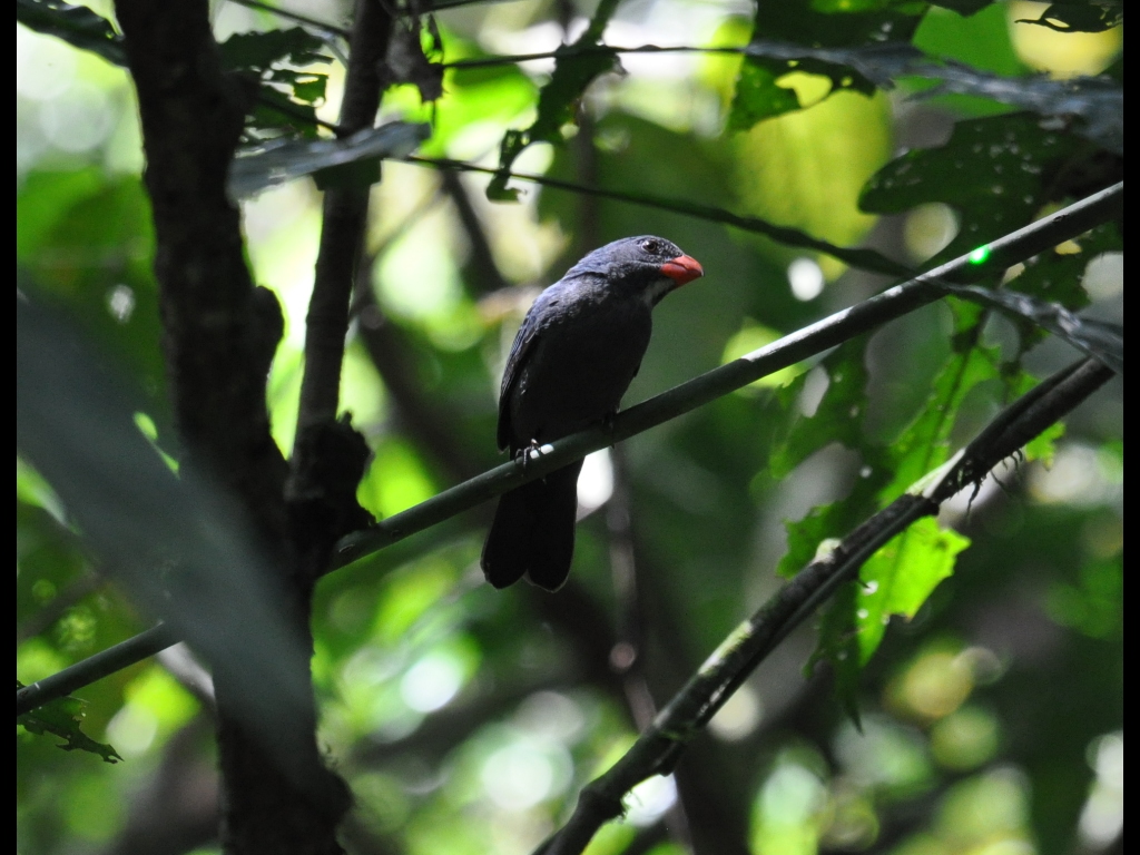 DSC_0481b.JPG