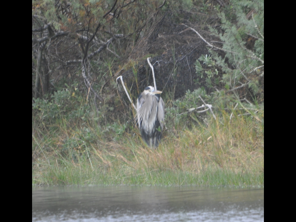 DSC_0158b.JPG