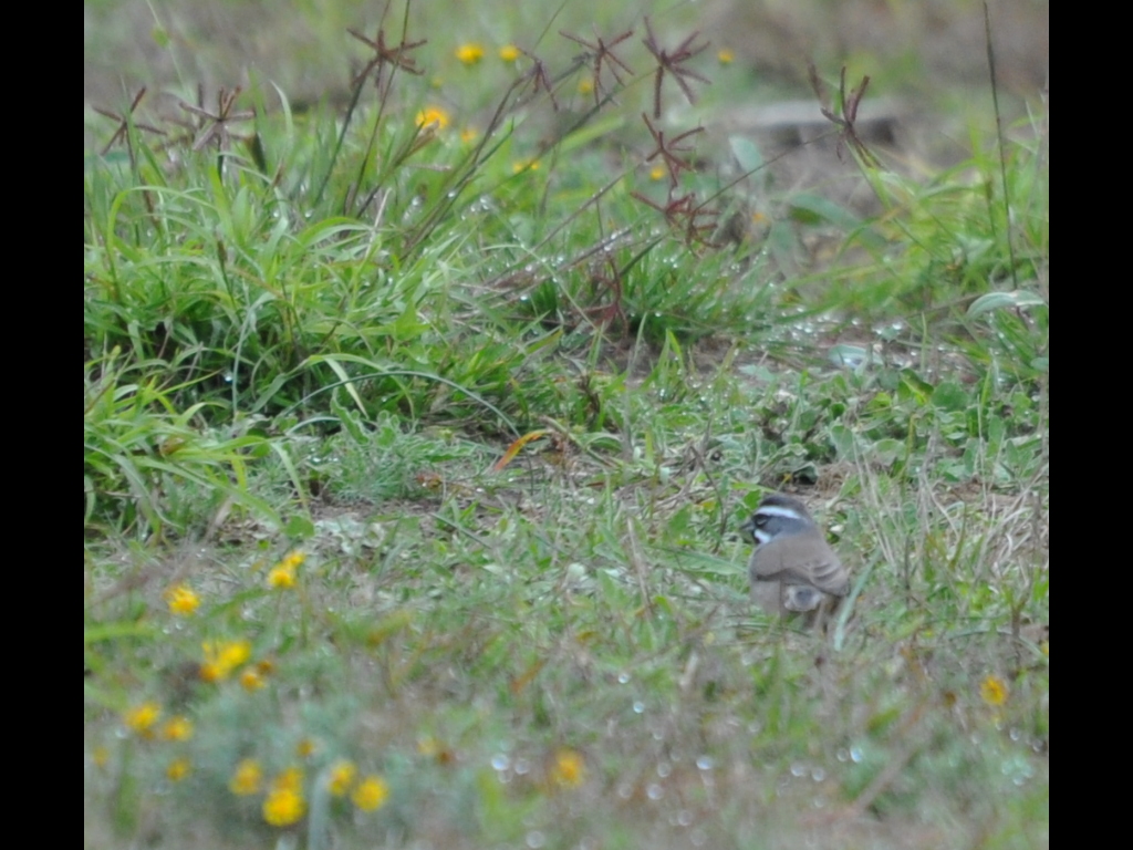 DSC_0023b.JPG